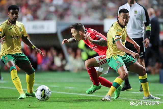 山东泰山横滨水手直播